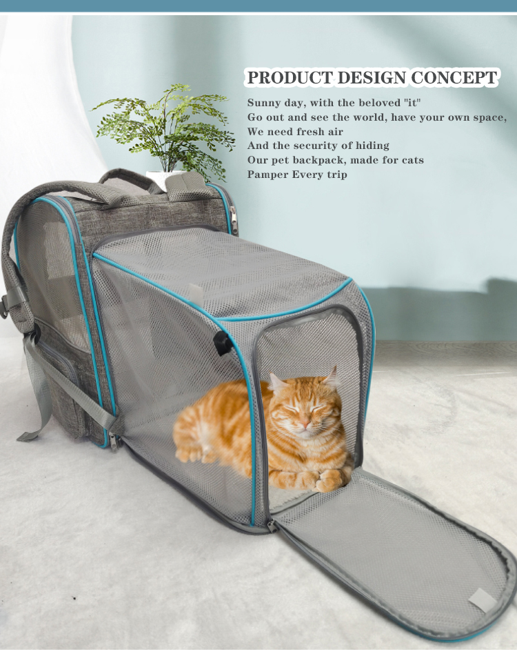 Custom Luxury Carrying Clear Collapsible Expandable Airline Approved Cat Dog Bag Backpack Cages Pet (图3)