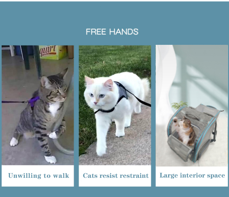 Custom Luxury Carrying Clear Collapsible Expandable Airline Approved Cat Dog Bag Backpack Cages Pet (图2)
