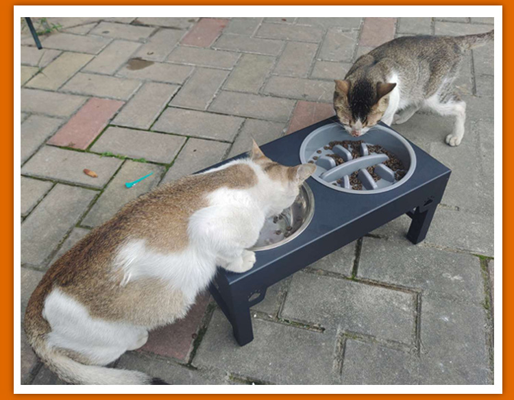 升降调节宠物碗慢食碗大型犬不锈钢碗狗盆架喂食器折叠碗狗盆食具(图13)