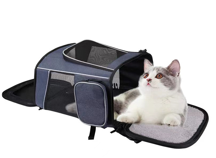 MJ跨境爆款宠物包 户外旅行便携宠物双肩包 透气猫狗宠物背包现货(图11)