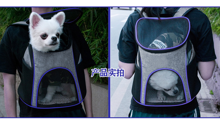 MJ新款旅行外出便携双肩包 宠物背包 小型犬狗包 舒适可折叠猫包(图2)