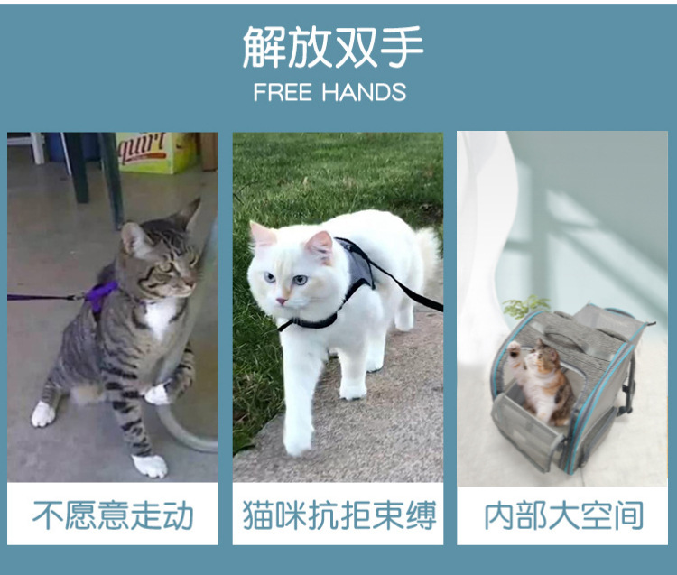 定制亚马逊透气猫包外出便携宠物背包猫咪书包携带轻便可折叠狗包(图2)