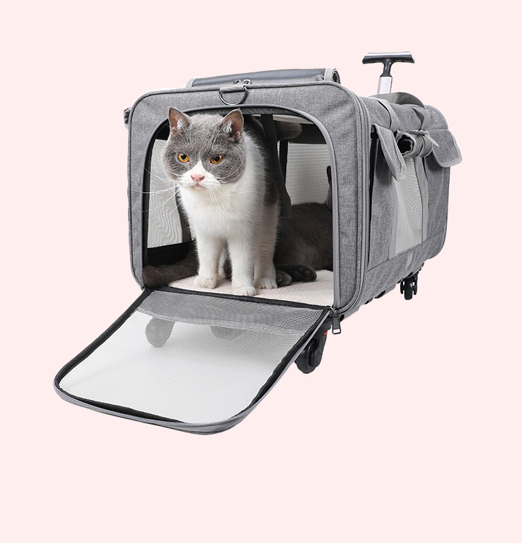 猫外出包新款便携宠物拉杆箱可拆卸万向轮透气可折叠大容量宠物包(图25)