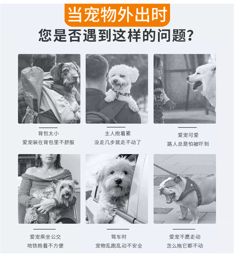 猫包宠物包亚马逊宠物用品宠物手提包透气可折叠外出猫咪狗外出包(图2)