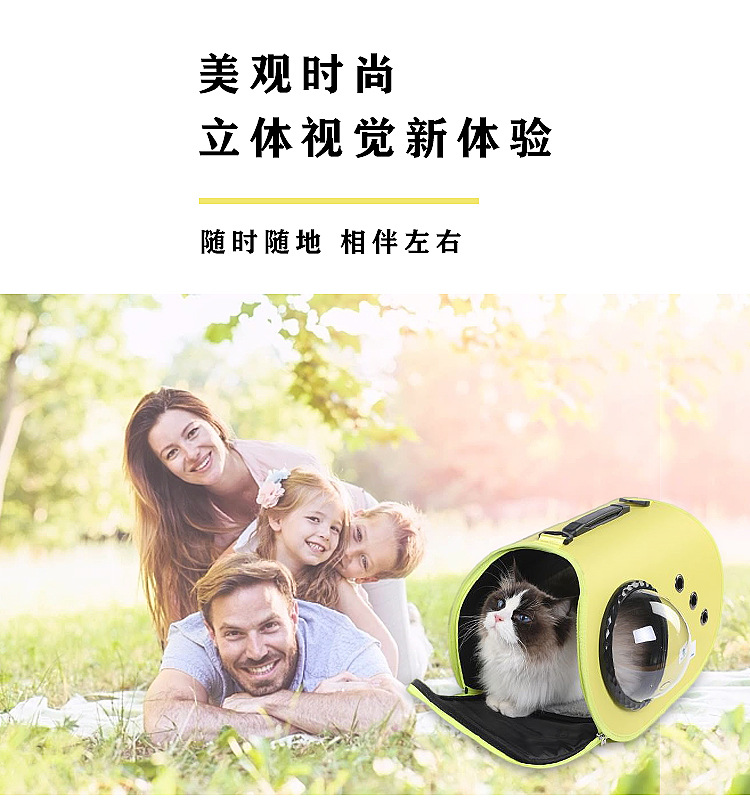 MJ定制手提猫包2023新款便携透气宠物包外出折叠单肩斜挎猫咪包(图2)