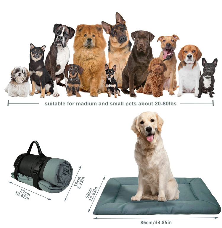 厂家定制宠物狗狗尿垫 宠物尿不湿训练隔尿吸水垫 可水洗四季用品(图2)