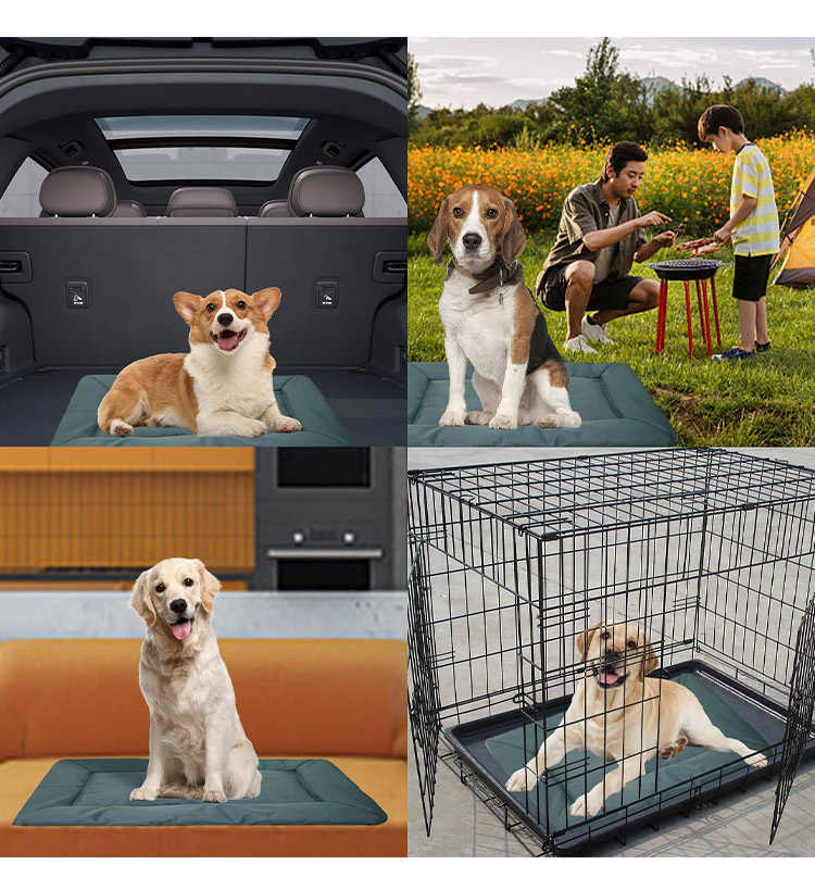 厂家定制宠物狗狗尿垫 宠物尿不湿训练隔尿吸水垫 可水洗四季用品(图5)