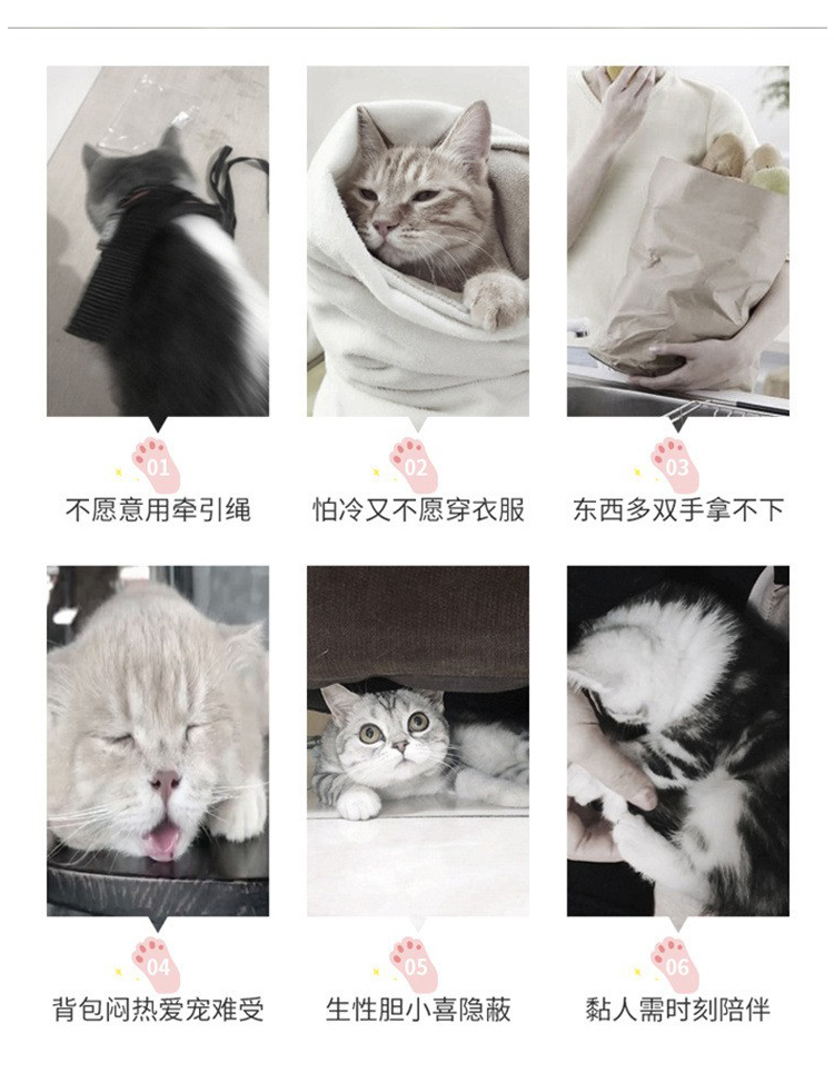 新款小型狗包透气手提猫包外出包便携可折叠出行车载宠物包猫笼子(图2)