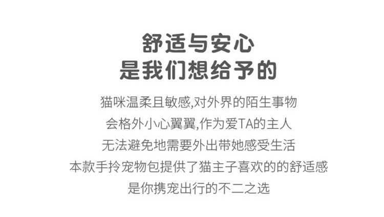 新款小型狗包透气手提猫包外出包便携可折叠出行车载宠物包猫笼子(图1)